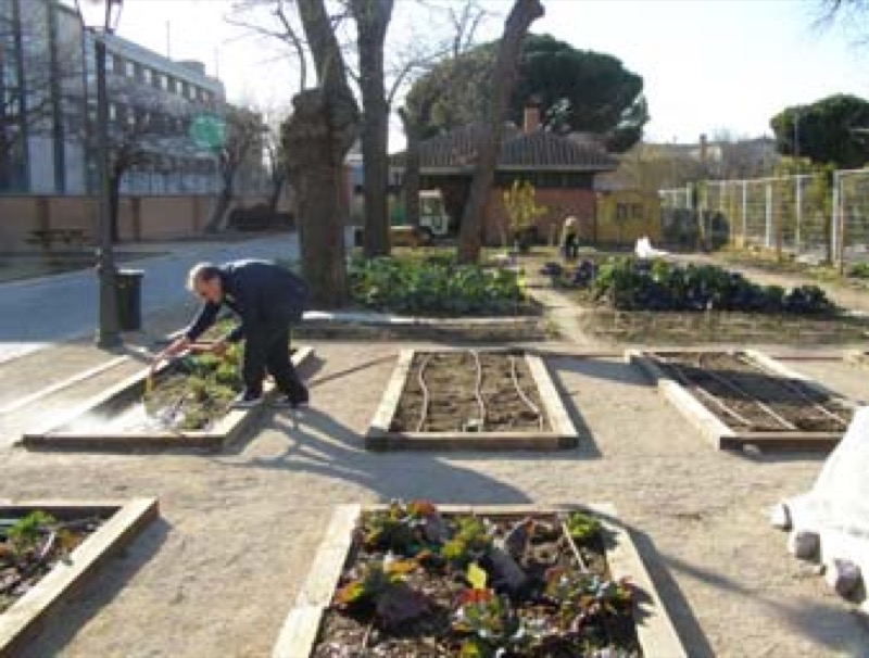 Huerto del Retiro. Bancales