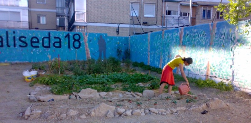 Bancales con mural al fondo