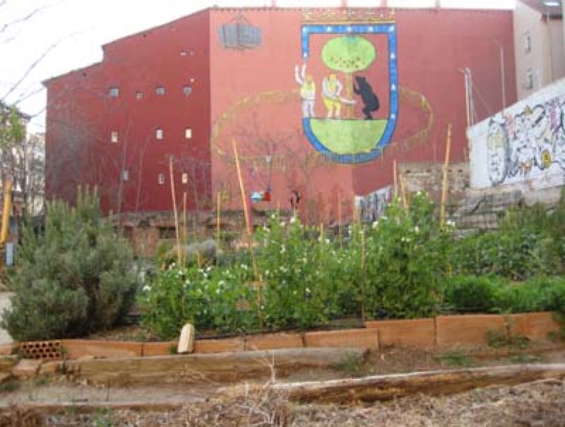 Bancales con mural al fondo