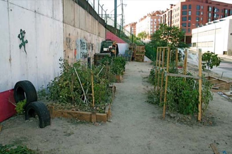 Adelfas. Bancales y Jardinera