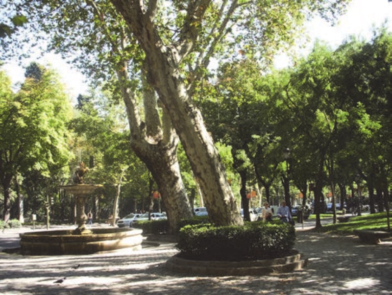 José de Hermosilla y Sandoval. Plan of Madrid´s Prado, Recoletos and Atocha walk boulevards (1767). Drawing (National Library of Spain).