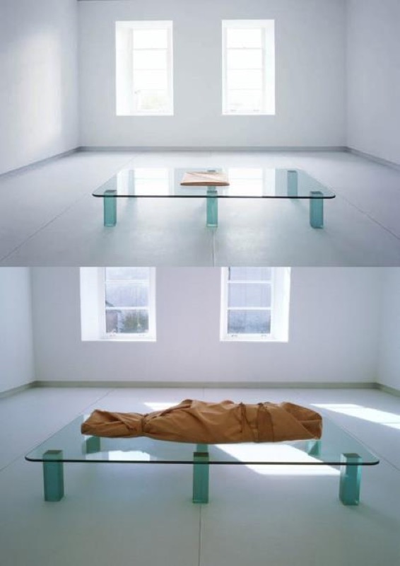 Shroud/Chrysalis, 2000. Catherine Richards