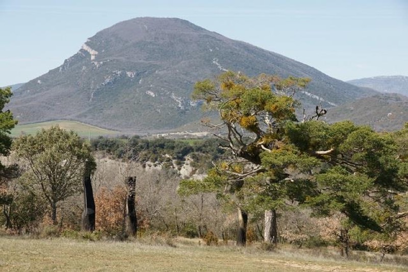 Vista satélite del área urbana de Sao Paulo, Brasil.