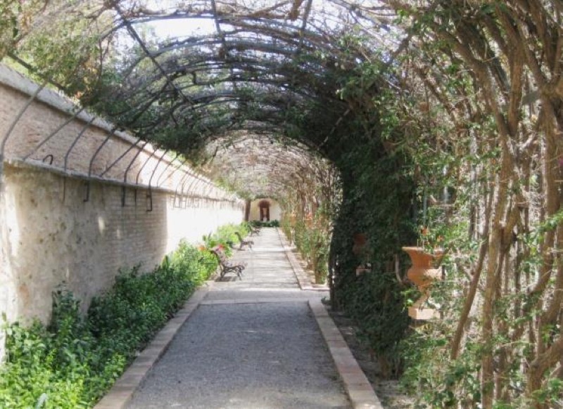 Berceau cubierto de buganvilla