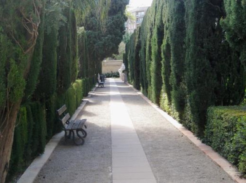 Avenida central con la pantalla de cipreses