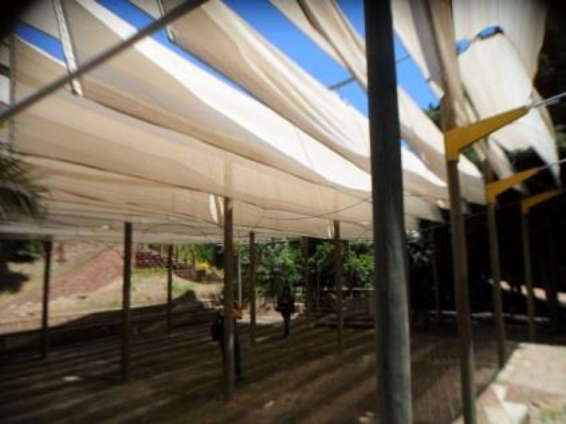 Ciudad Abierta: Capilla del Cementerio.