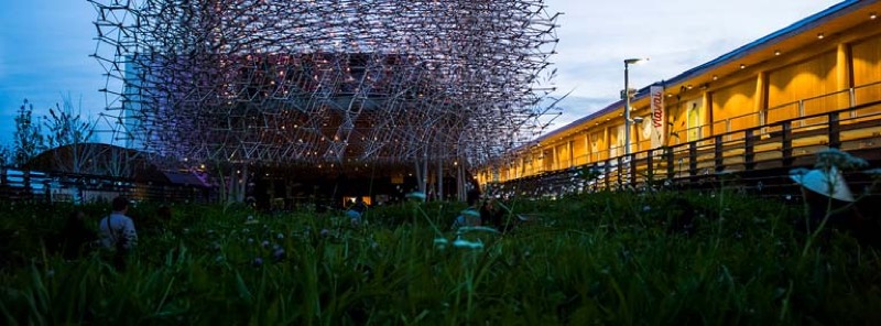 La Colmena. Pabellón para la Exposición Universal de Milán de 2015 por Wolfgang Buttress