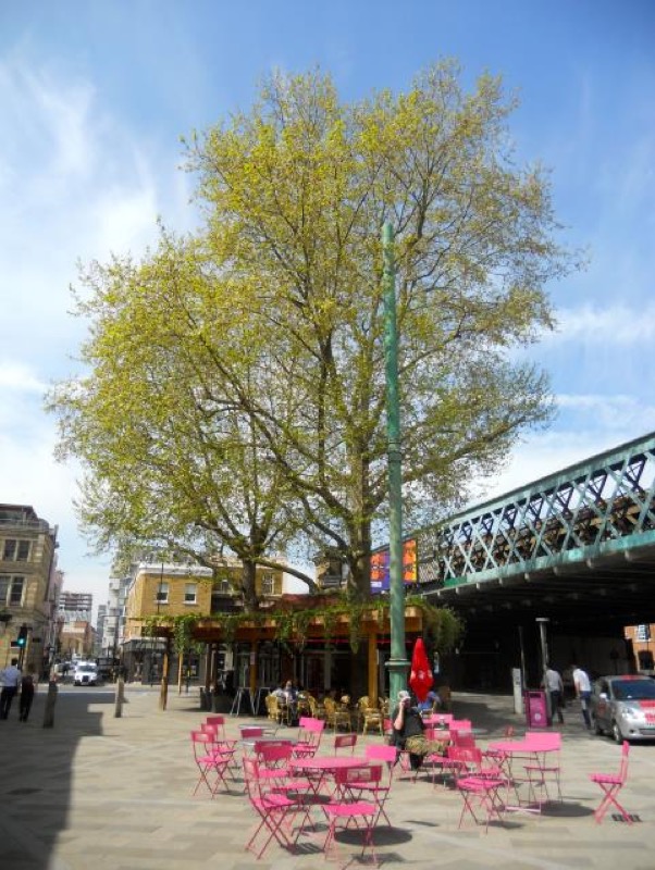 Códigos QR: audio Borough Market a las 9:00 a.m.