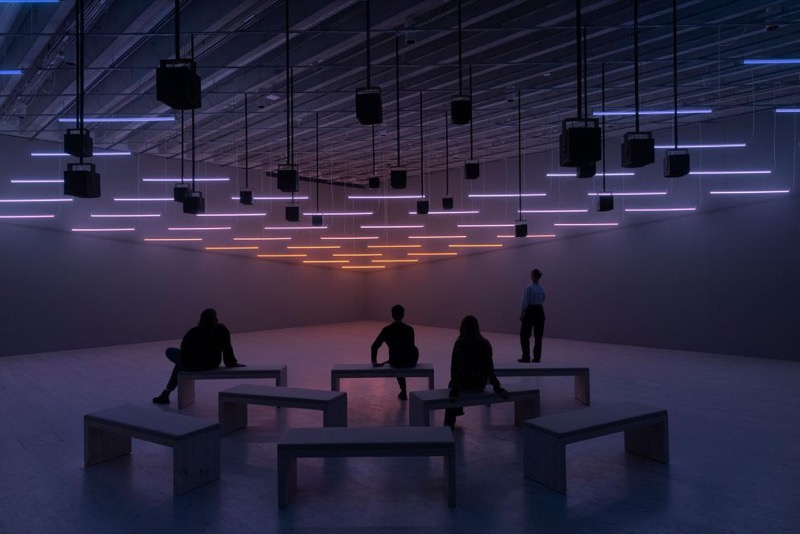 Vista de la instalación, 'Alexandra Daisy Ginsberg – Machine Auguries: Toledo', Toledo Museum of Art, 2023. Procedencia, web de la artista.