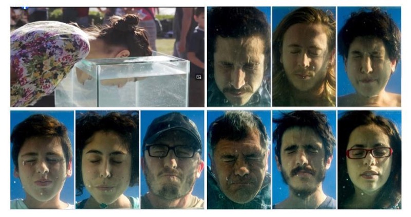 Figura 4. SADO colectivx (Fotoactivismo de combate). Intervención: Seguimos inundadxs (selección).